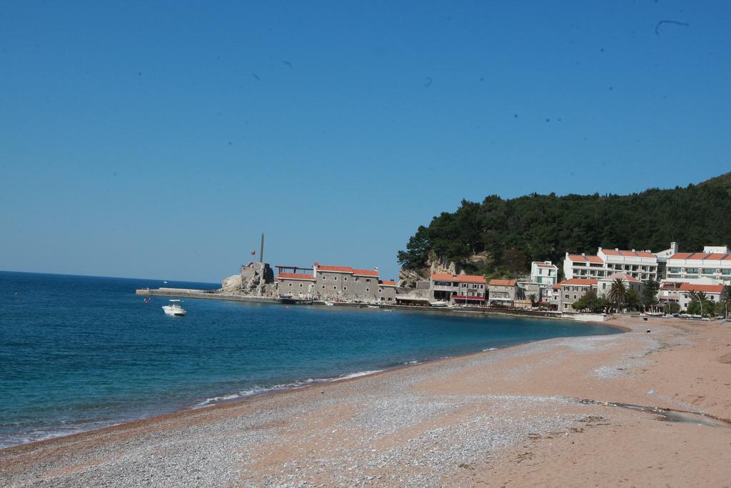 Volvox Petrovac